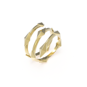 insieme hiems yellow gold ring
