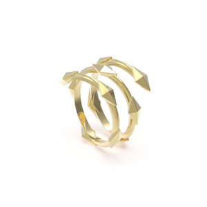insieme hiems yellow gold ring