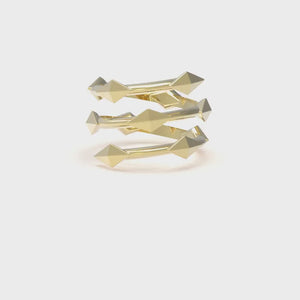 insieme hiems yellow gold ring